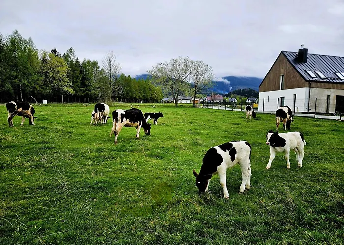 Zacisze W Karkonoszach Dom wakacyjny Karpacz