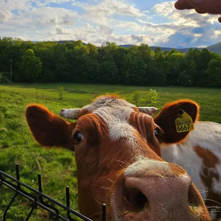 펜션 Zacisze W Karkonoszach 카르파츠