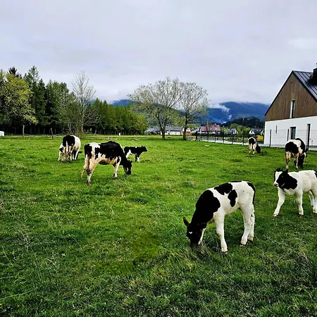 Zacisze W Karkonoszach Semesterbostad Karpacz
