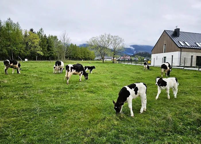 Zacisze W Karkonoszach Karpacz