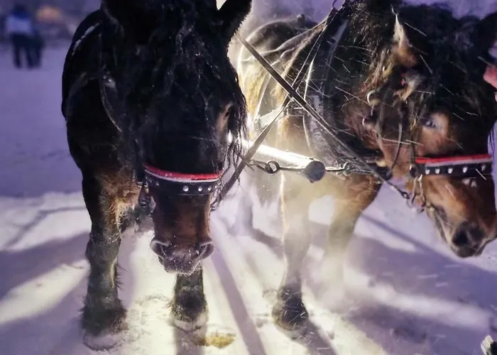Zacisze W Karkonoszach Prázdninový dům *