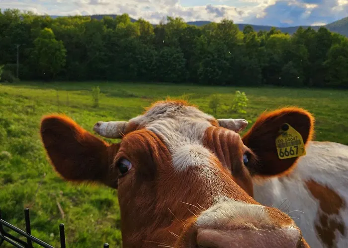 Vakantiehuis Zacisze W Karkonoszach Karpacz