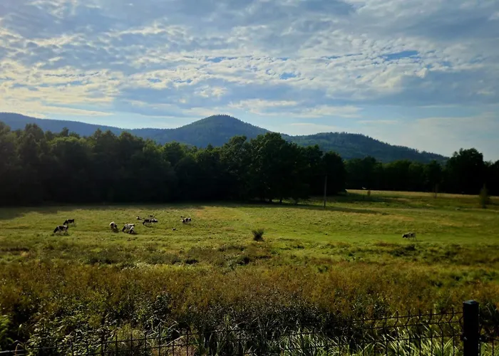 Zacisze W Karkonoszach